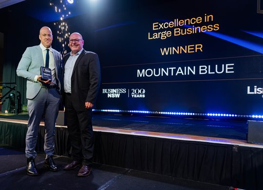 Mountain Blue